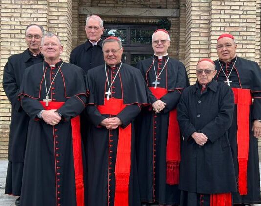 Cardeais brasileiros participam em Roma do primeiro Consistório Extraordinário convocado por Leão XIV