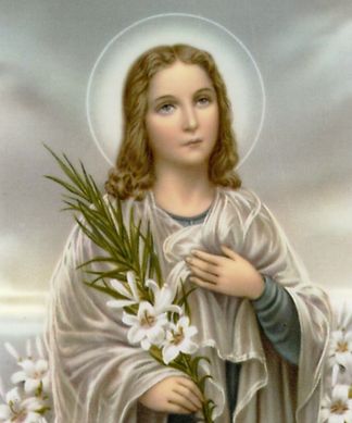 Santo do dia (capa) 324x389