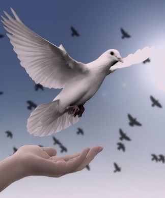 Santo do dia (capa) 324x389 (4)